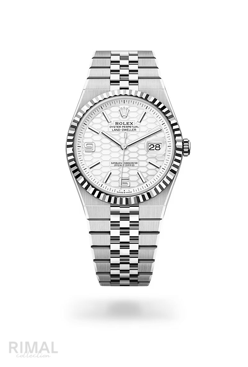 Rolex | Land-Dweller - Free & Fast UAE Shipping