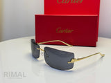 Cartier | CT0462S Gradient – Silver / Brown