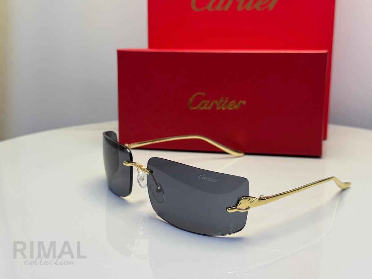 Cartier | CT0462S Gradient – Silver / Brown – Product Image 1