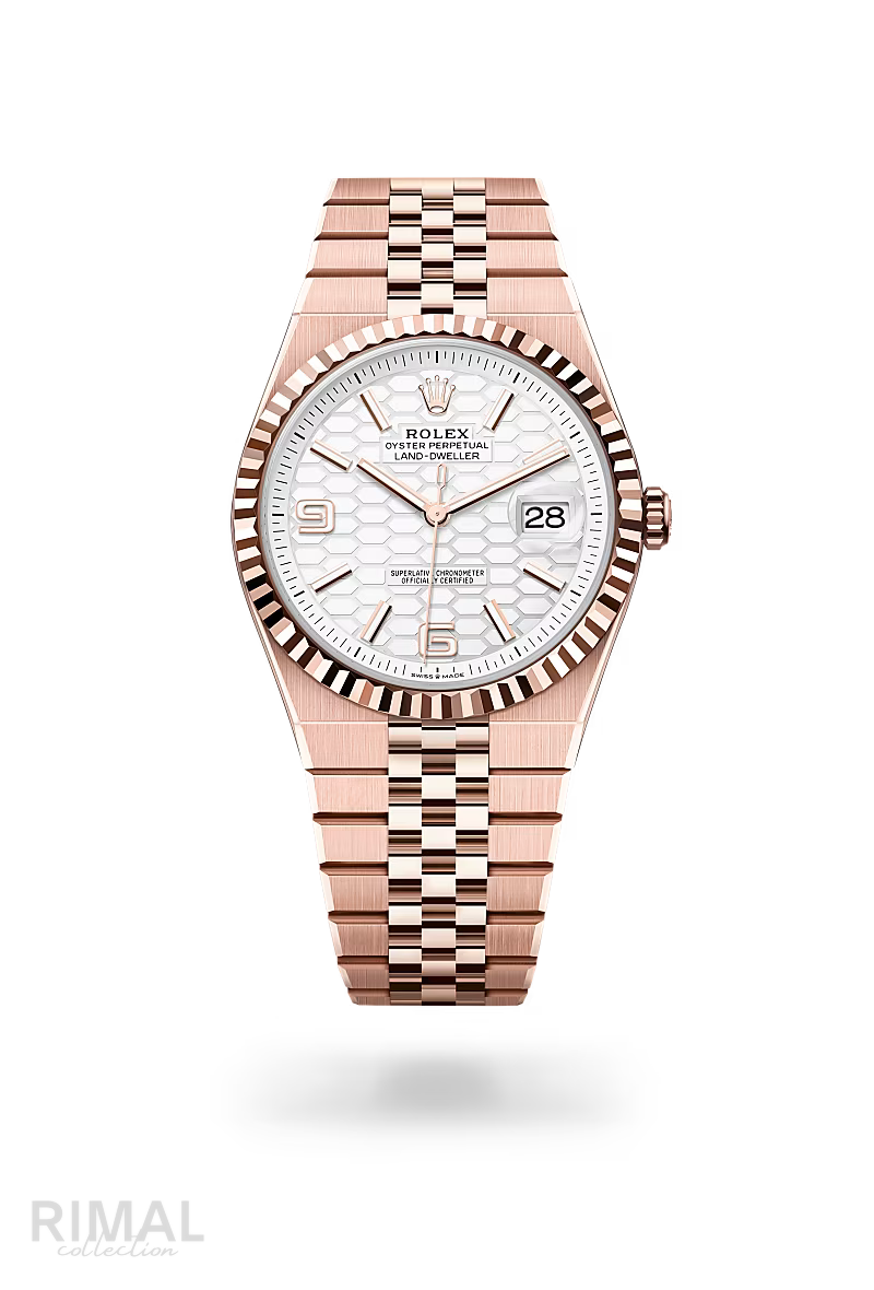 Rolex | Land-Dweller - Free & Fast UAE Shipping