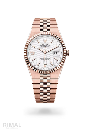 Rolex | Land-Dweller - Free & Fast UAE Shipping