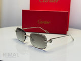Cartier | CT0462S – Gold / Grey