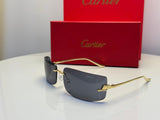 Cartier | CT0462S Gradient – Silver / Brown