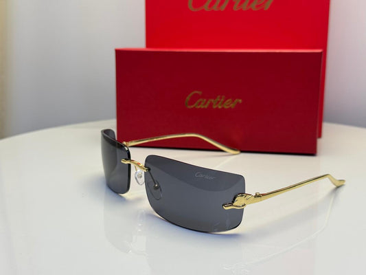Cartier | CT0462S Gradient – Silver / Brown – Product Image 1